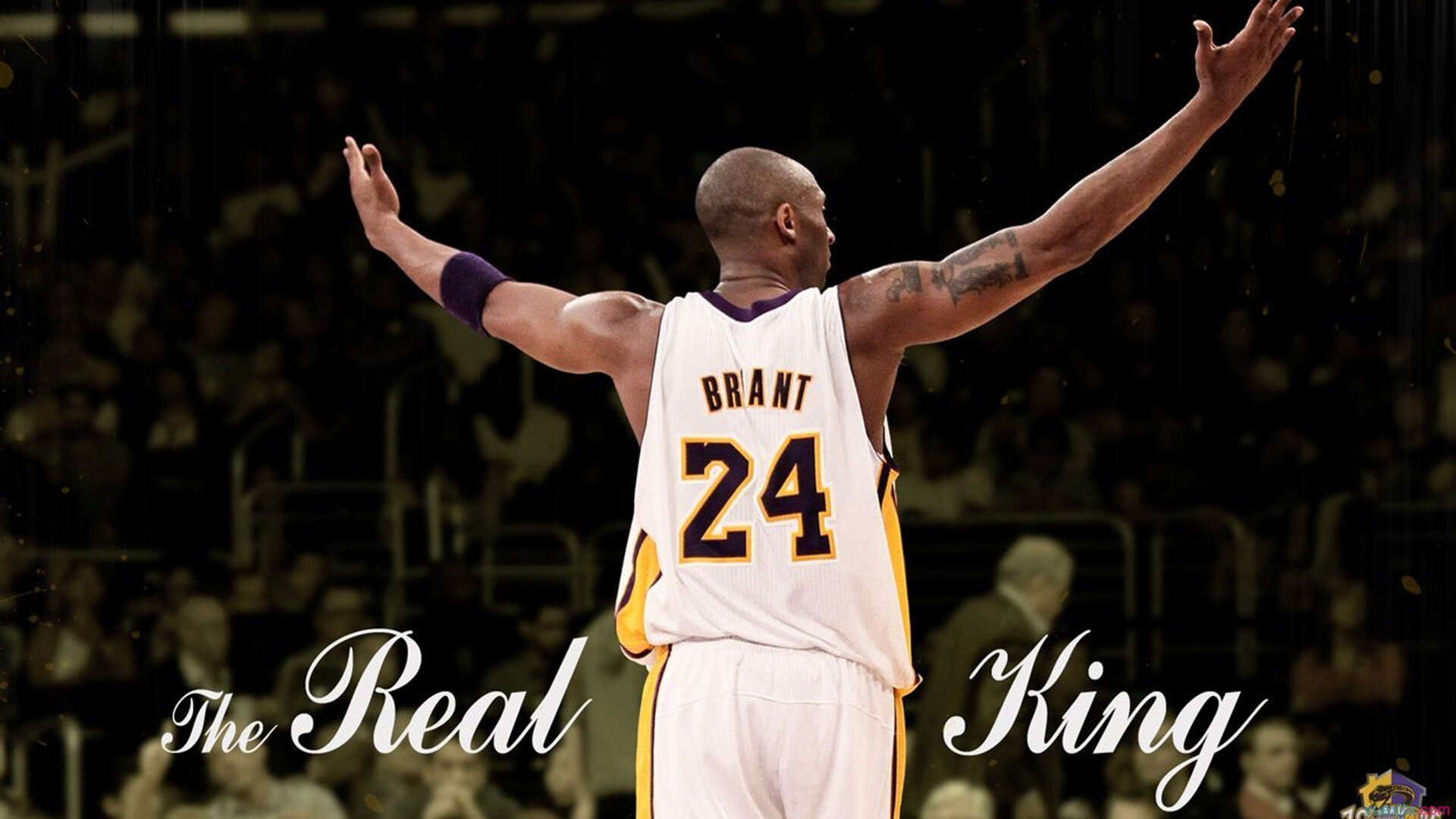 新兴运动热潮席卷全球，年轻人引领健康生活新风尚